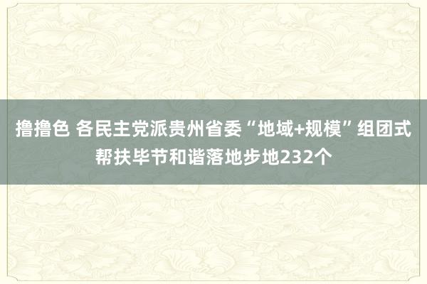 撸撸色 各民主党派贵州省委“地域+规模”组团式帮扶毕节和谐落地步地232个