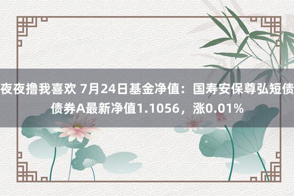 夜夜撸我喜欢 7月24日基金净值：国寿安保尊弘短债债券A最新净值1.1056，涨0.01%