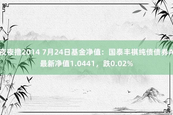 夜夜撸2014 7月24日基金净值：国泰丰祺纯债债券A最新净值1.0441，跌0.02%