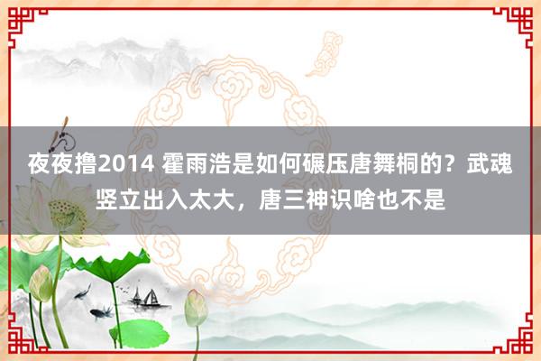 夜夜撸2014 霍雨浩是如何碾压唐舞桐的？武魂竖立出入太大，唐三神识啥也不是