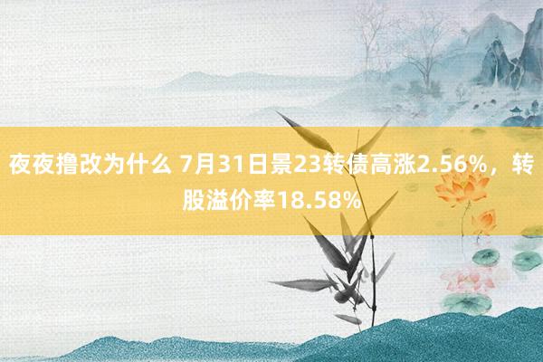 夜夜撸改为什么 7月31日景23转债高涨2.56%，转股溢价率18.58%