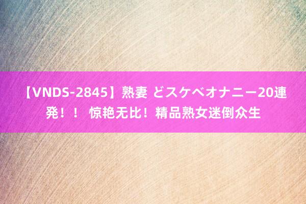 【VNDS-2845】熟妻 どスケベオナニー20連発！！ 惊艳无比！精品熟女迷倒众生