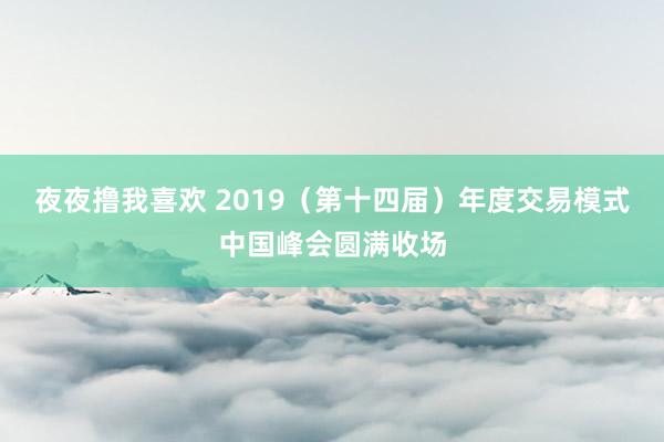 夜夜撸我喜欢 2019（第十四届）年度交易模式中国峰会圆满收场