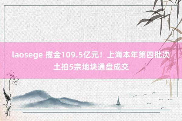 laosege 揽金109.5亿元！上海本年第四批次土拍5宗地块通盘成交