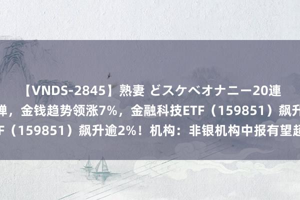 【VNDS-2845】熟妻 どスケベオナニー20連発！！ 金融科技大幅反弹，金钱趋势领涨7%，金融科技ETF（159851）飙升逾2%！机构：非银机构中报有望超预期