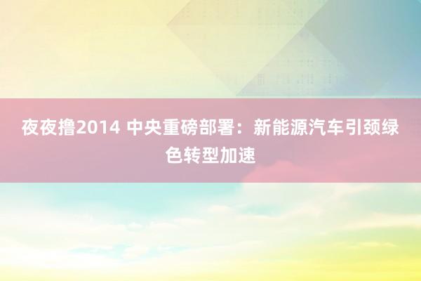 夜夜撸2014 中央重磅部署：新能源汽车引颈绿色转型加速