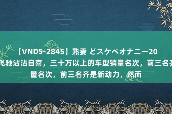 【VNDS-2845】熟妻 どスケベオナニー20連発！！ 还得是飞驰沾沾自喜，三十万以上的车型销量名次，前三名齐是新动力，然而