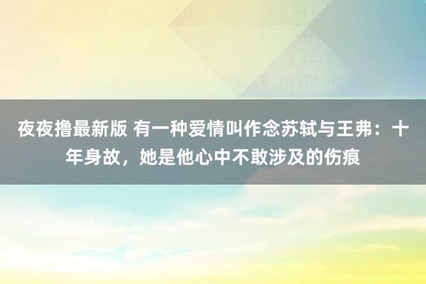 夜夜撸最新版 有一种爱情叫作念苏轼与王弗：十年身故，她是他心中不敢涉及的伤痕