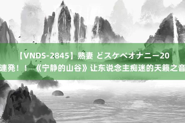 【VNDS-2845】熟妻 どスケベオナニー20連発！！ 《宁静的山谷》让东说念主痴迷的天籁之音