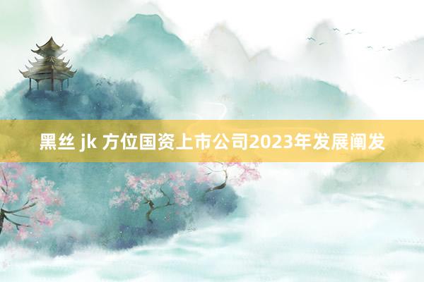 黑丝 jk 方位国资上市公司2023年发展阐发