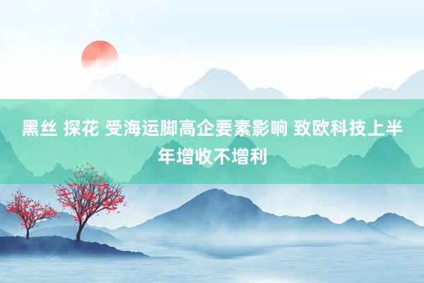 黑丝 探花 受海运脚高企要素影响 致欧科技上半年增收不增利