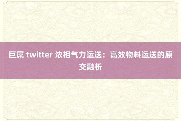 巨屌 twitter 浓相气力运送：高效物料运送的原交融析