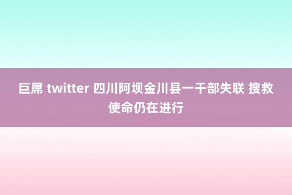 巨屌 twitter 四川阿坝金川县一干部失联 搜救使命仍在进行