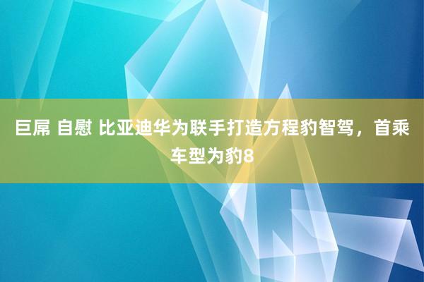 巨屌 自慰 比亚迪华为联手打造方程豹智驾，首乘车型为豹8