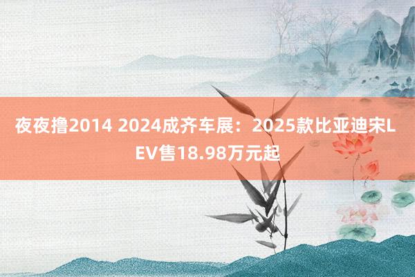 夜夜撸2014 2024成齐车展：2025款比亚迪宋L EV售18.98万元起