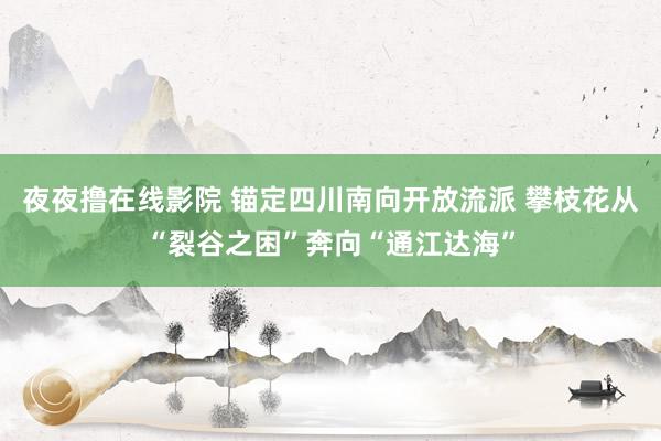 夜夜撸在线影院 锚定四川南向开放流派 攀枝花从“裂谷之困”奔向“通江达海”