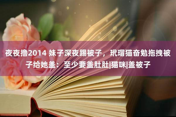 夜夜撸2014 妹子深夜踢被子，玳瑁猫奋勉拖拽被子给她盖：至少要盖肚肚|猫咪|盖被子