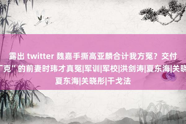 露出 twitter 魏嘉手撕高亚麟合计我方冤？交付！被骗“丁克”的前妻时玮才真冤|军训|军校|洪剑涛|夏东海|关晓彤|干戈法