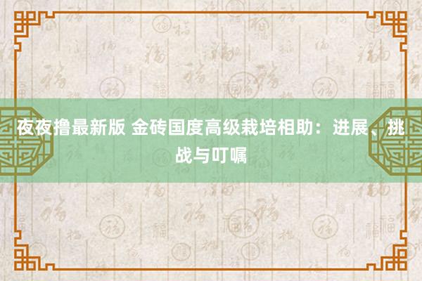 夜夜撸最新版 金砖国度高级栽培相助：进展、挑战与叮嘱